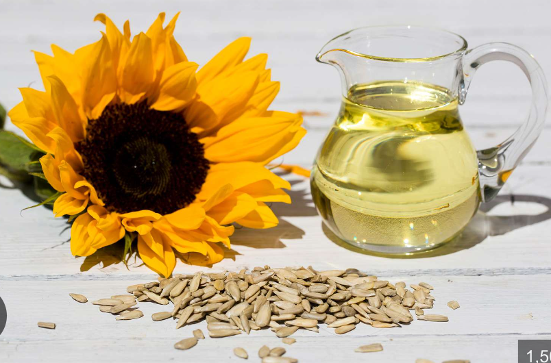 Sunflower Oil